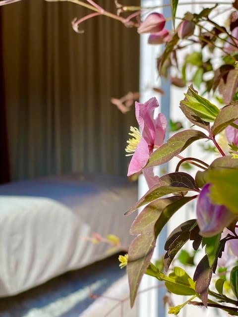Sandrine massage